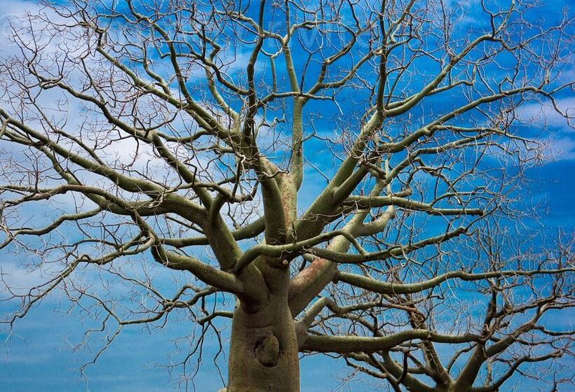 Montecristi Golf Resort & Villas