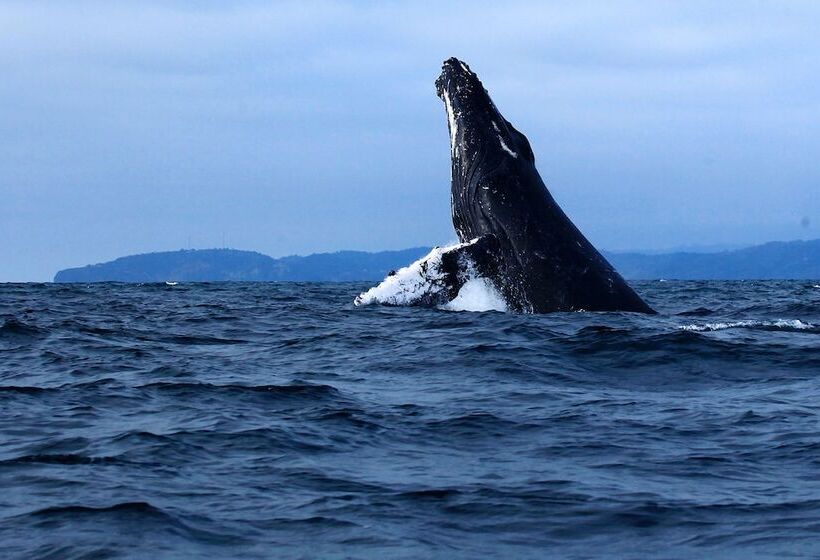 Montecristi Golf Resort & Villas