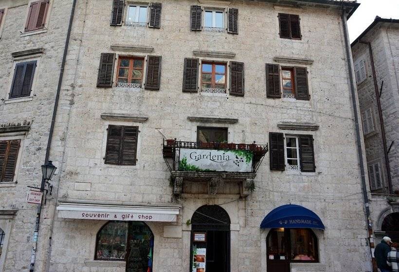 تختخواب و صبحانه Montenegro Backpackers Home Kotor
