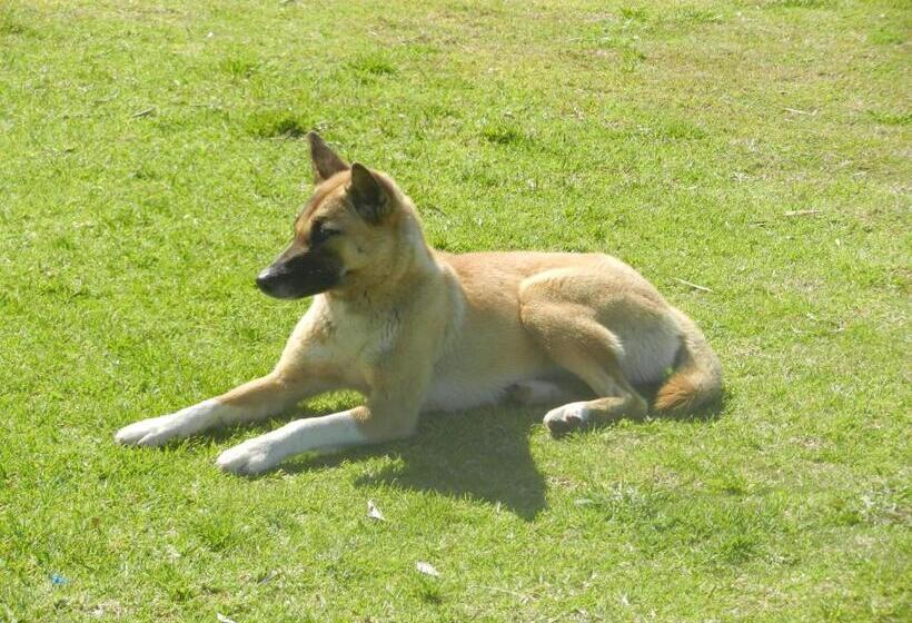 מוטל Oceanside Hawks Nest