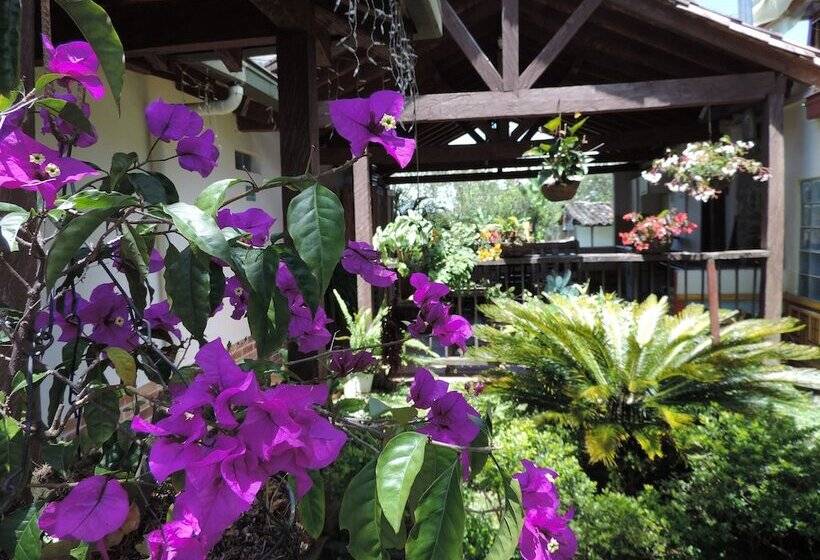 ユースホステル Oak Tree House