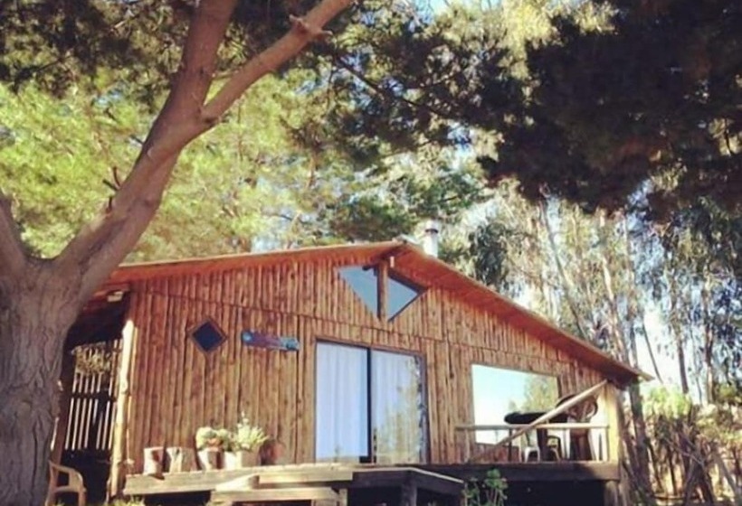 פנסיון Cabañas Buena Vista