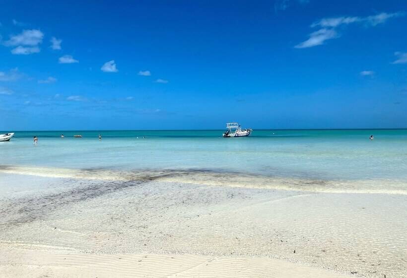 پانسیون Casa Luz Beach Front Holbox