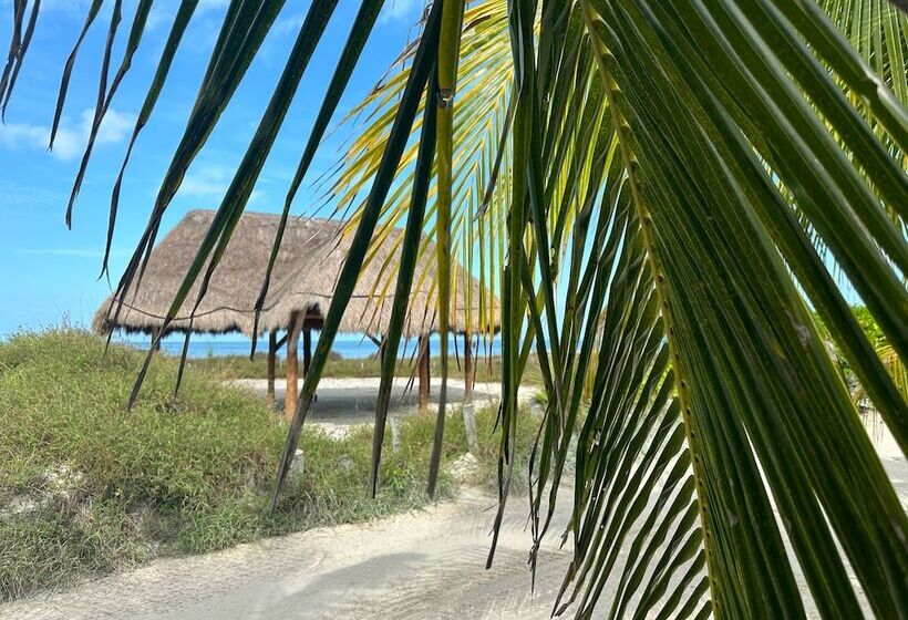 پانسیون Casa Luz Beach Front Holbox