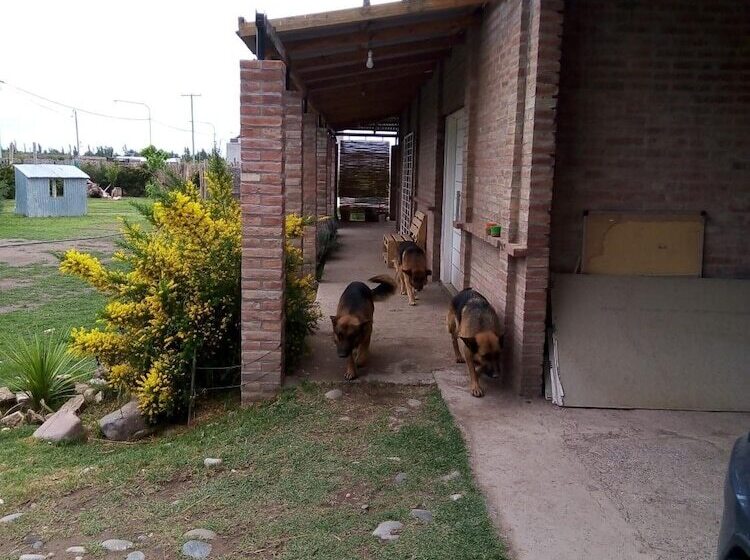 پانسیون Descanso Cordillerano