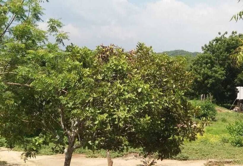 펜션 Ecogranja Akiez