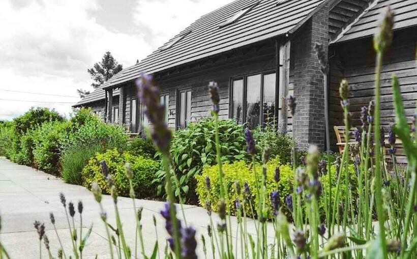 ペンション Elm Tree Farm Accommodation