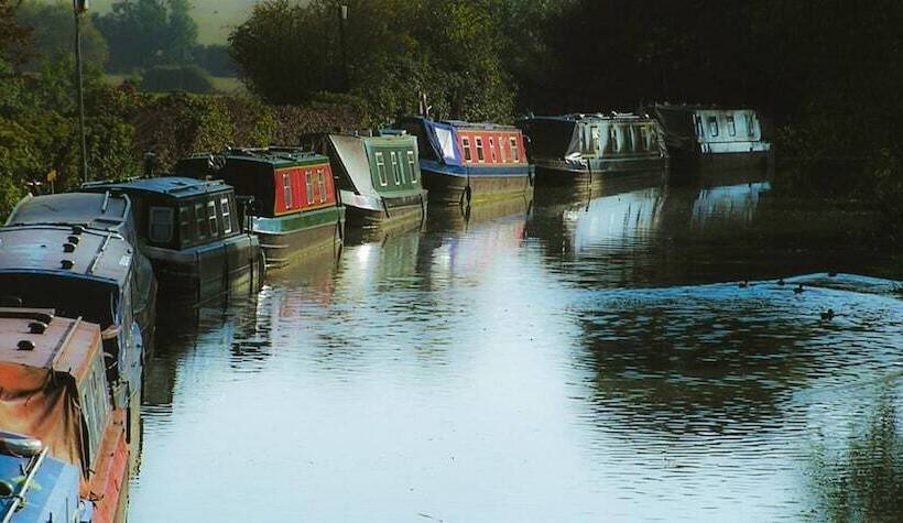 ペンション Elm Tree Farm Accommodation