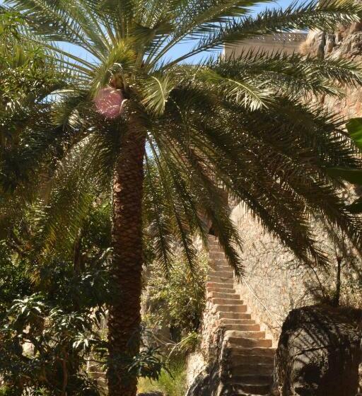 پانسیون Misfah Old House