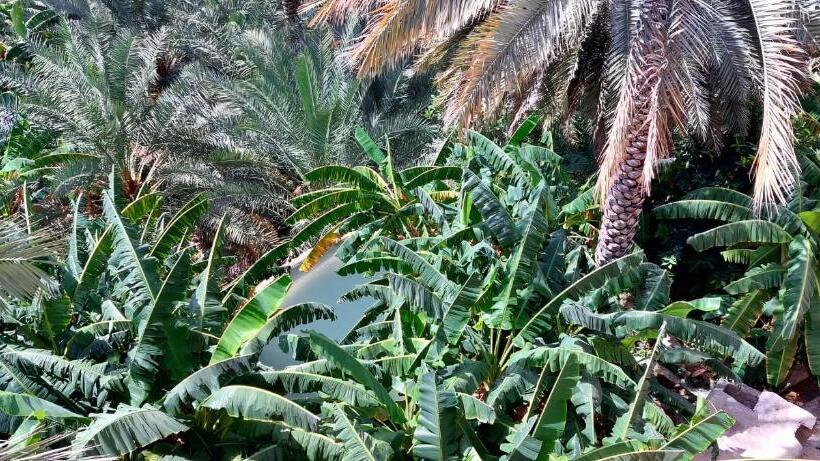 پانسیون Misfah Old House