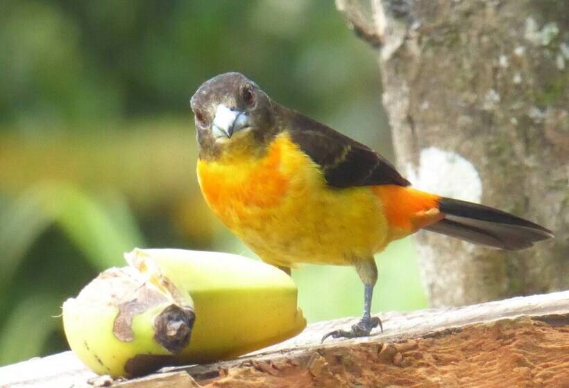 펜션 Posada Aguanile Finca La Diana