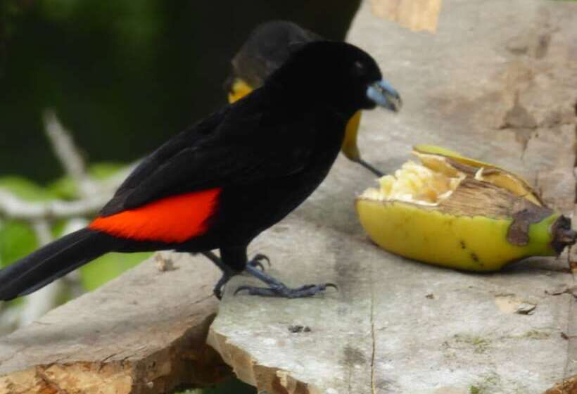 펜션 Posada Aguanile Finca La Diana