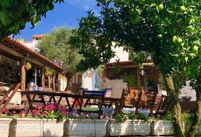 Пансион Quinta Da Vida Serena