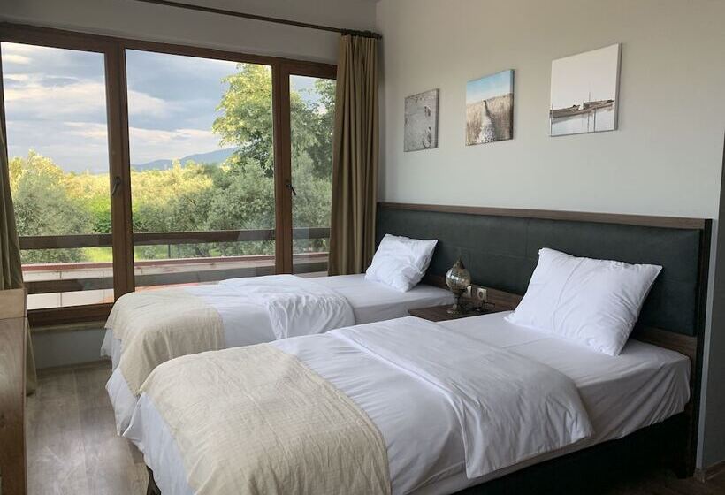 ペンション Rahmi Baba 1966