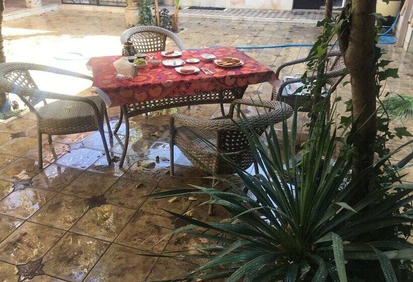 بنسيون S E A S O N S