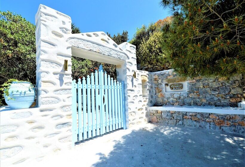 膳宿费 The Big Blue