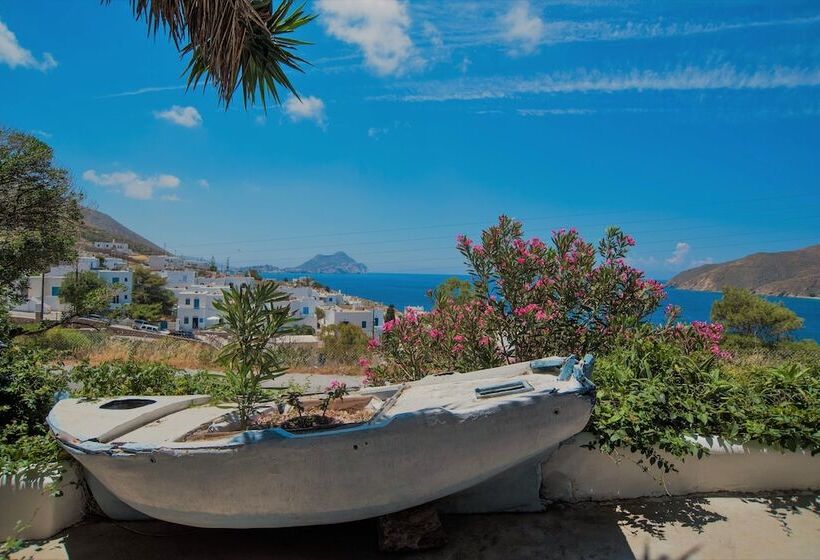 膳宿费 The Big Blue