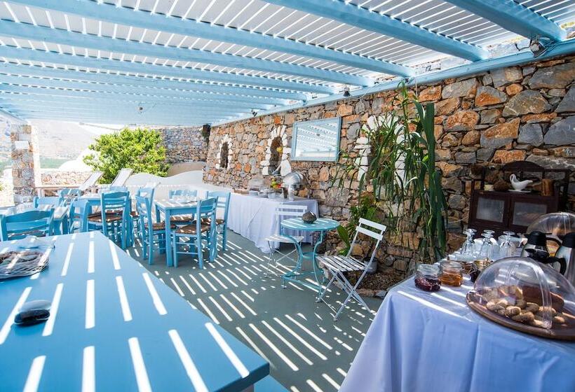 膳宿费 The Big Blue