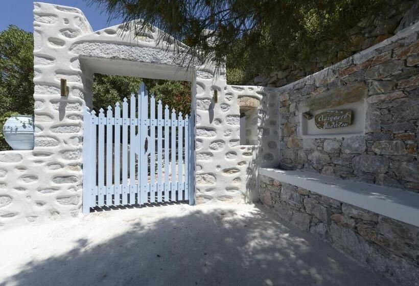 膳宿费 The Big Blue