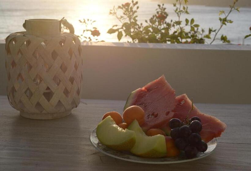 膳宿费 The Big Blue