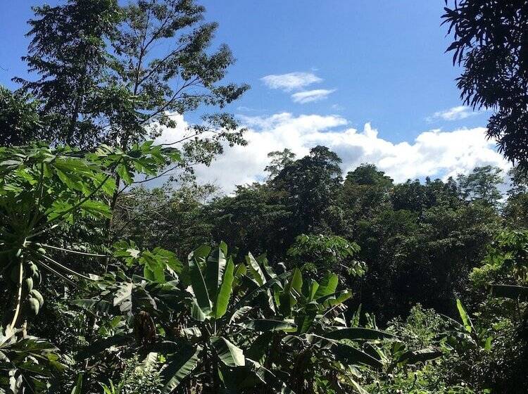 펜션 Valeska Drake