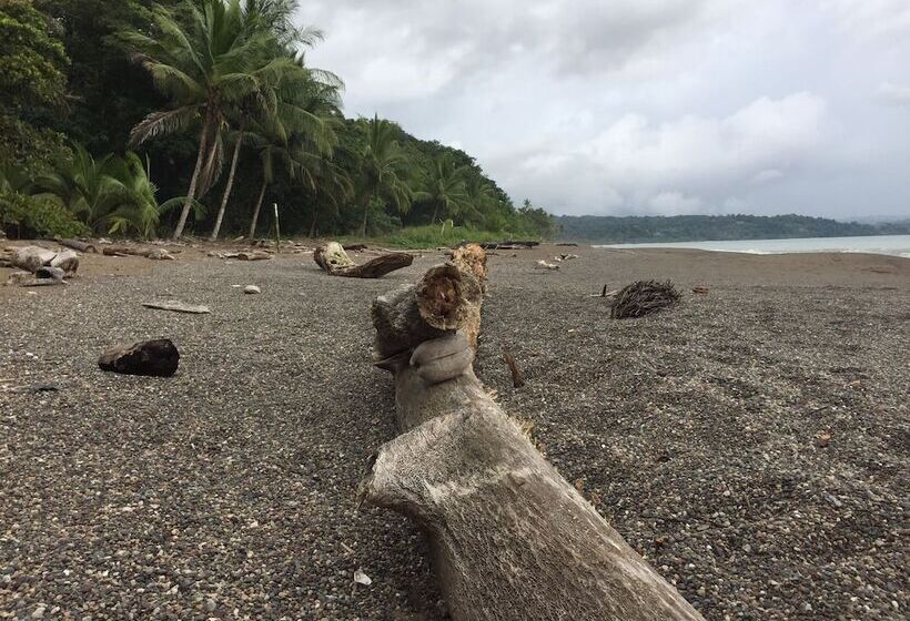 펜션 Valeska Drake