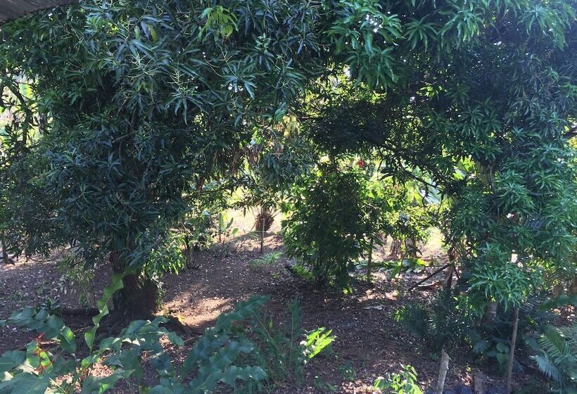 펜션 Valeska Drake