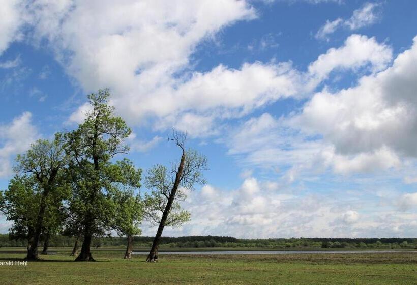 Pension Sava Turizam