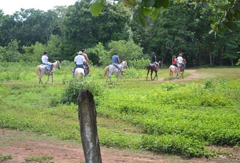 Pousada 3j Hotel Fazenda