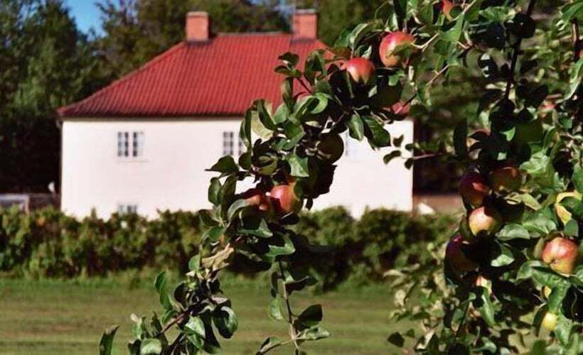 Stegeborgs Trädgårdshotell