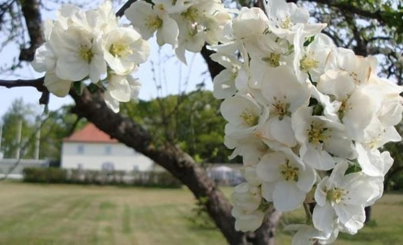 Stegeborgs Trädgårdshotell