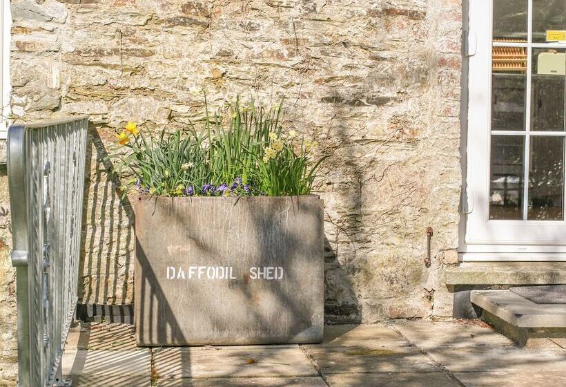 The Daffodil Shed