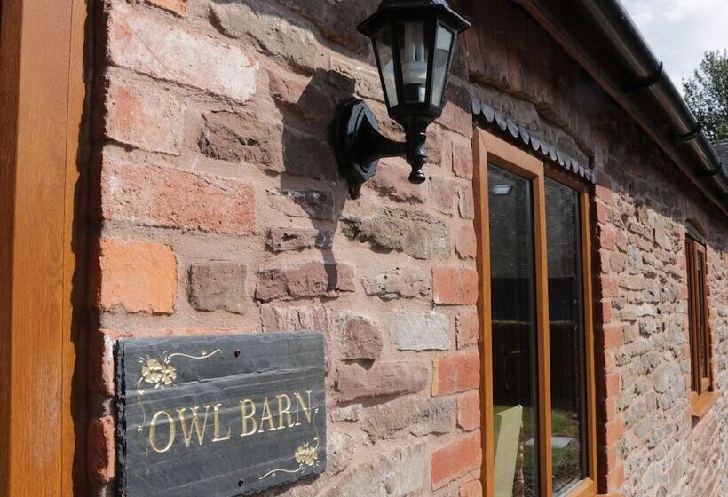 The Owl Barn
