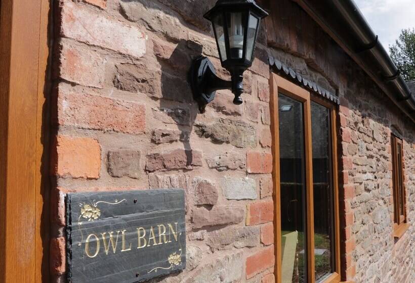 The Owl Barn