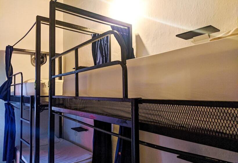 Traveler Hostel