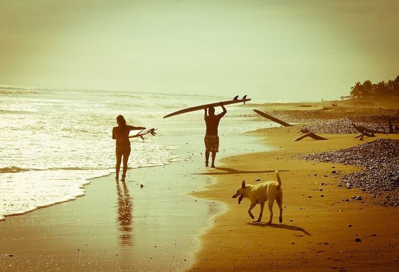 Troncones Point Hostel