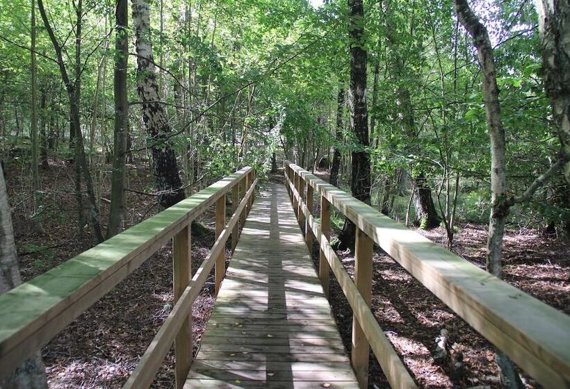 äventyrscampen In Sövde