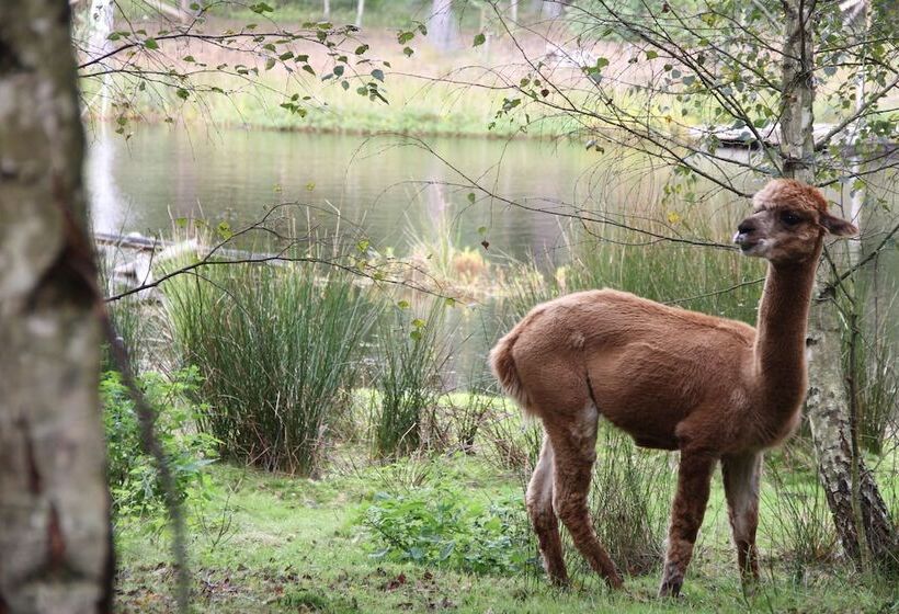 äventyrscampen In Sövde