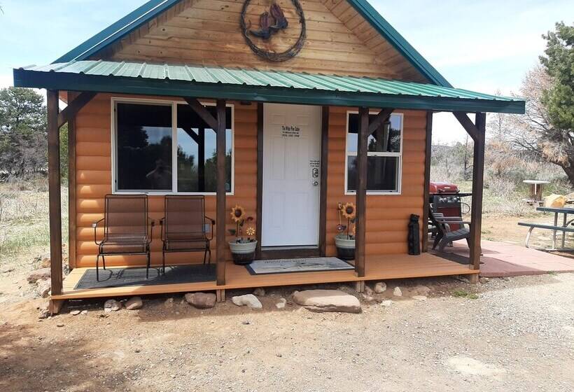 White Cabin Cozy Secluded Cabin