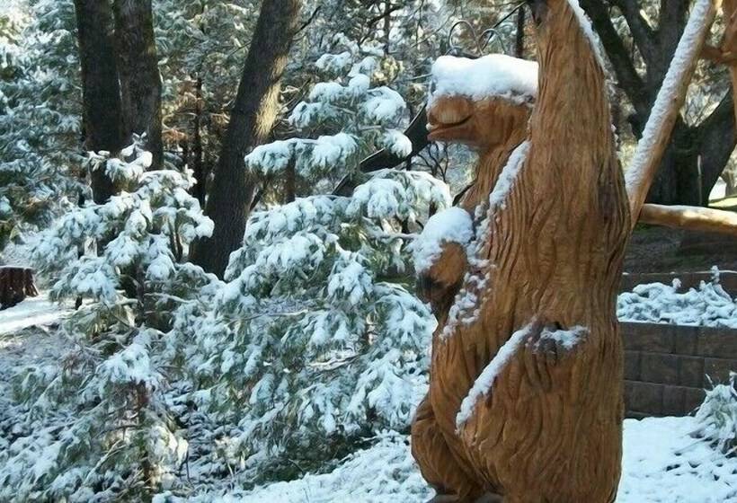 Yosemite Scenic Wonders  Cedar Mountain