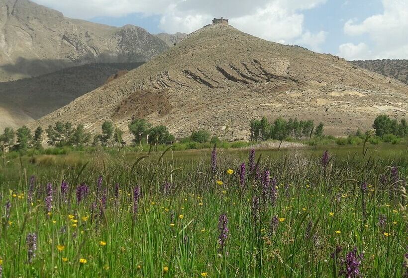 Flilou La Maison Berbère   Hostel