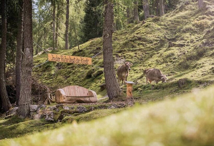 Alpenhotel Schlickeralm