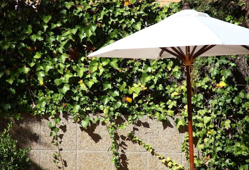 Apartamentos Jade   Adults Only +16