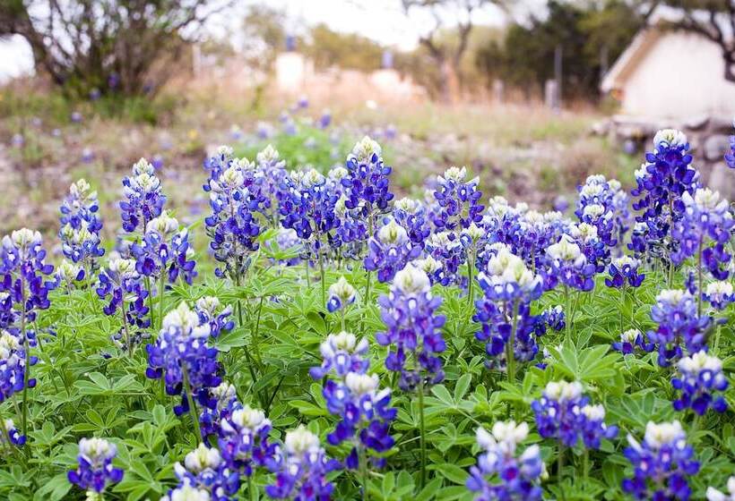 Bed and Breakfast Blair House Inn