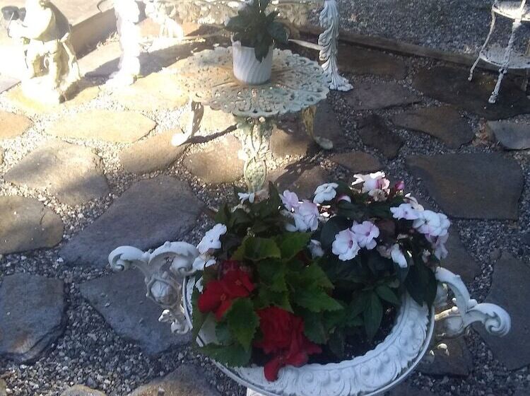 تختخواب و صبحانه Tanglewood Suites