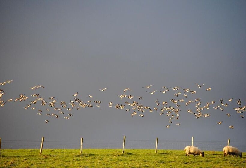 مبيت وإفطار The Mill Restaurant & Accommodation