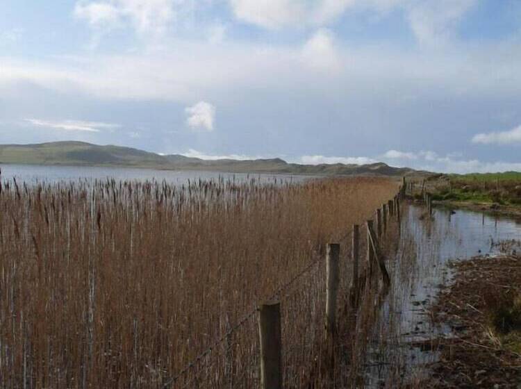 مبيت وإفطار The Mill Restaurant & Accommodation