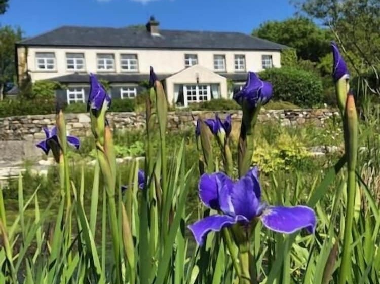 مبيت وإفطار The Mill Restaurant & Accommodation