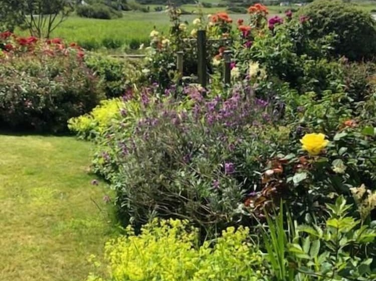 مبيت وإفطار The Mill Restaurant & Accommodation