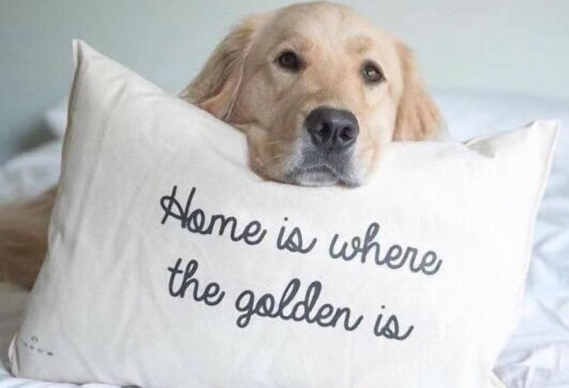 مبيت وإفطار The Mill Restaurant & Accommodation